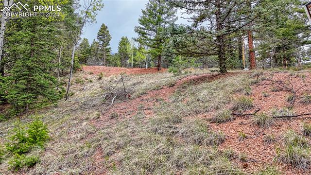 MLS Image for 95 E Handcart  ,Florissant, Colorado