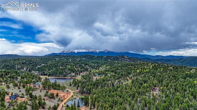 MLS Image for 95 E Handcart  ,Florissant, Colorado