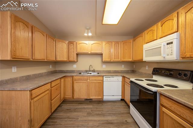 MLS Image for 608  Bosque Vista   ,Colorado Springs, Colorado