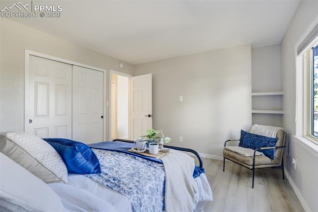 MLS Image for 2620  Penacho  ,Colorado Springs, Colorado
