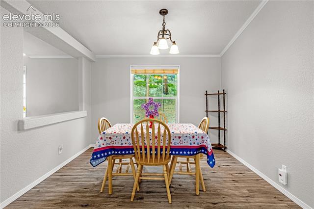 MLS Image for 275  Mohave Creek  ,Florissant, Colorado
