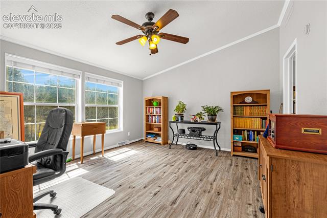 MLS Image for 275  Mohave Creek  ,Florissant, Colorado