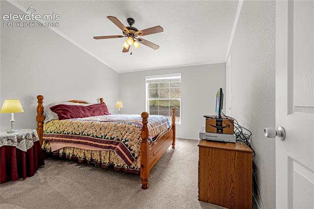 MLS Image for 275  Mohave Creek  ,Florissant, Colorado