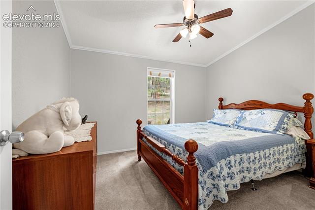 MLS Image for 275  Mohave Creek  ,Florissant, Colorado