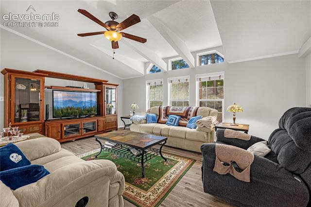 MLS Image for 275  Mohave Creek  ,Florissant, Colorado