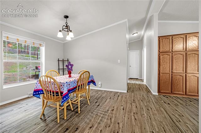 MLS Image for 275  Mohave Creek  ,Florissant, Colorado