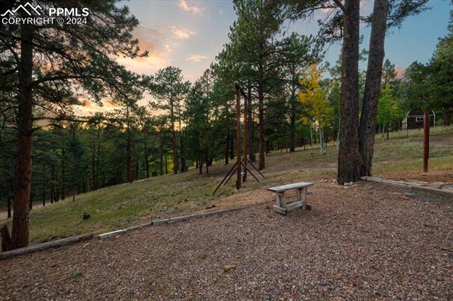 MLS Image for 123  Maroon Lake  ,Divide, Colorado