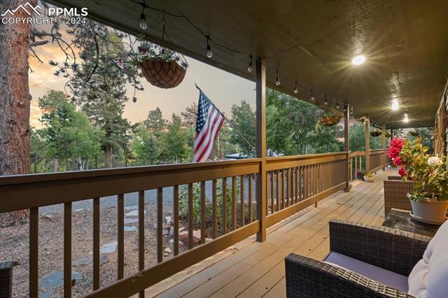 MLS Image for 123  Maroon Lake  ,Divide, Colorado