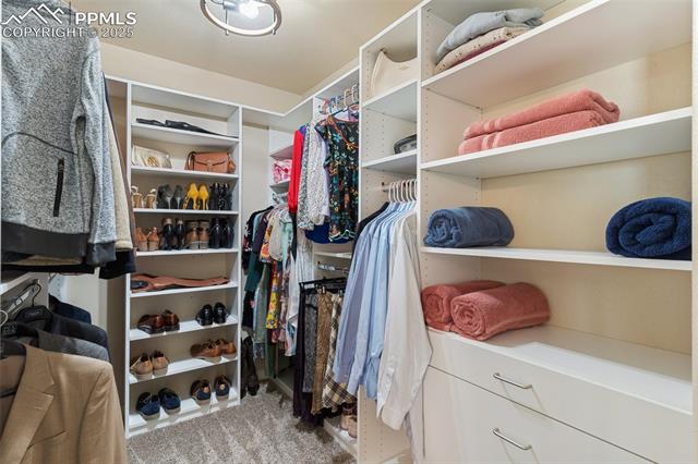 MLS Image for 977  Salmon Pond  ,Colorado Springs, Colorado
