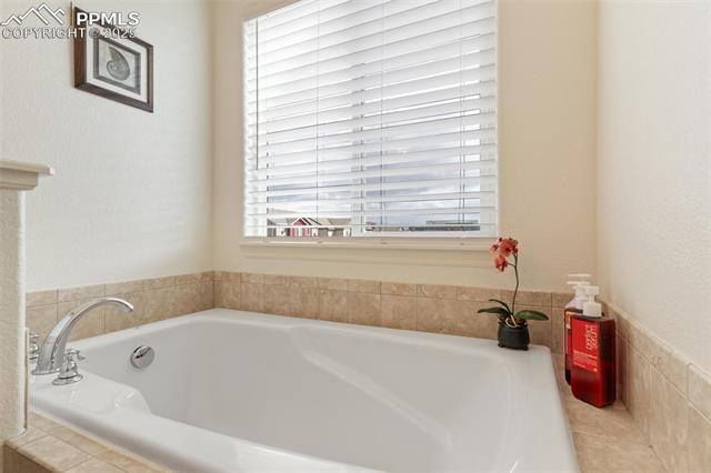 MLS Image for 977  Salmon Pond  ,Colorado Springs, Colorado