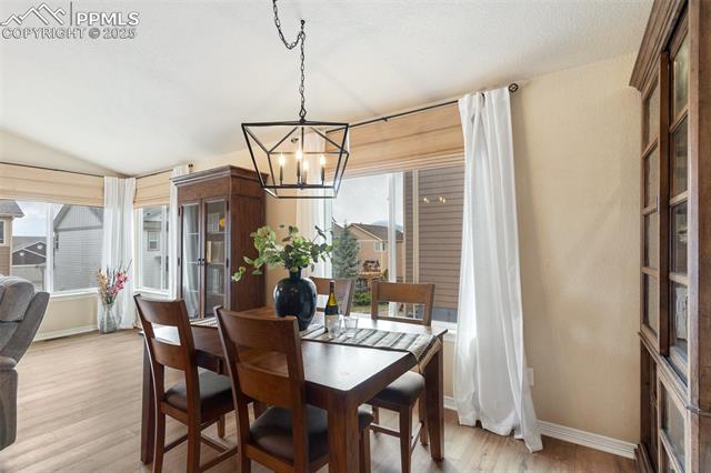 MLS Image for 977  Salmon Pond  ,Colorado Springs, Colorado