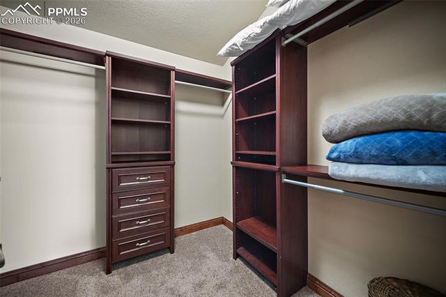 MLS Image for 4225  Walker Vista  ,Colorado Springs, Colorado