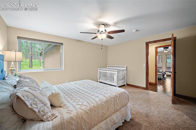 MLS Image for 4225  Walker Vista  ,Colorado Springs, Colorado