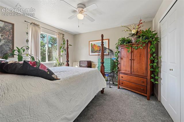 MLS Image for 6911  Ketchum  ,Colorado Springs, Colorado