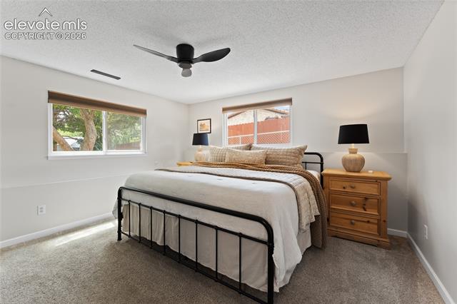 MLS Image for 4147  Anitra  ,Colorado Springs, Colorado