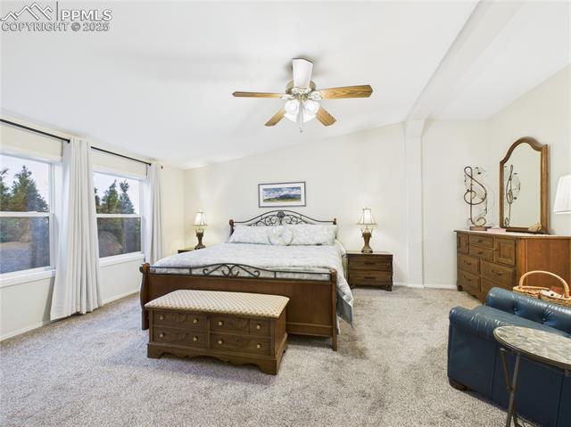 MLS Image for 7611  Black Bear  ,Colorado Springs, Colorado
