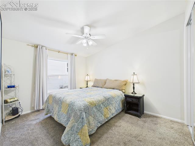 MLS Image for 7611  Black Bear  ,Colorado Springs, Colorado
