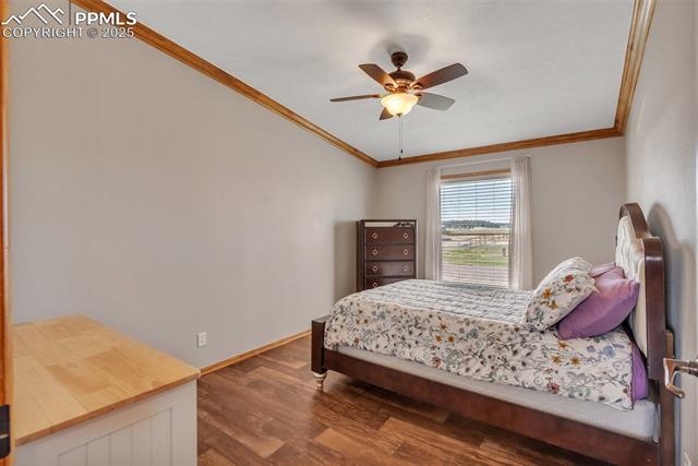 MLS Image for 9900  County Road 94  ,Elbert, Colorado