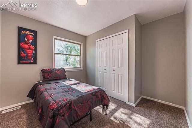 MLS Image for 1313 S Canoe Creek  ,Colorado Springs, Colorado