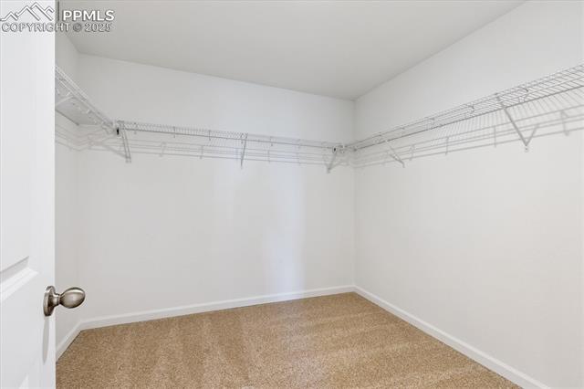 MLS Image for 10043  Kingsbury  ,Peyton, Colorado