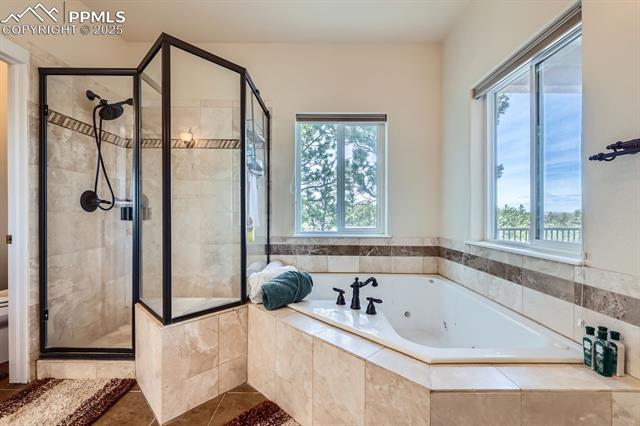 MLS Image for 17572  Saddle Ridge  ,Monument, Colorado