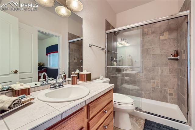 MLS Image for 17572  Saddle Ridge  ,Monument, Colorado