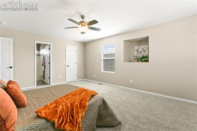 MLS Image for 4141  Purple Plum  ,Colorado Springs, Colorado