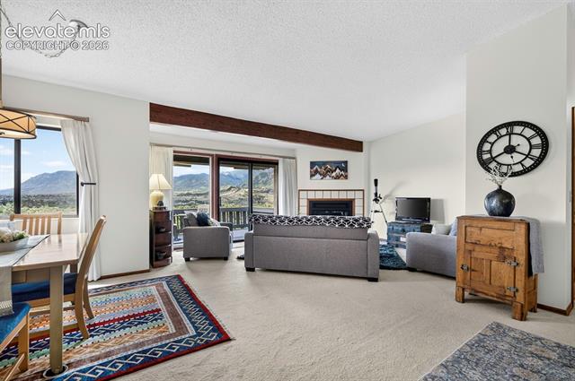 MLS Image for 930  Fontmore  D ,Colorado Springs, Colorado