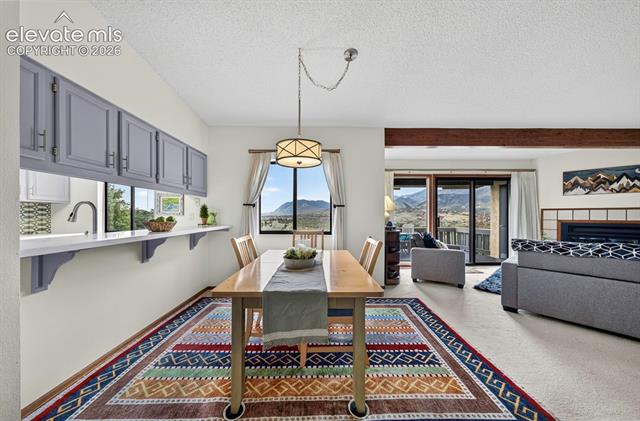 MLS Image for 930  Fontmore  D ,Colorado Springs, Colorado