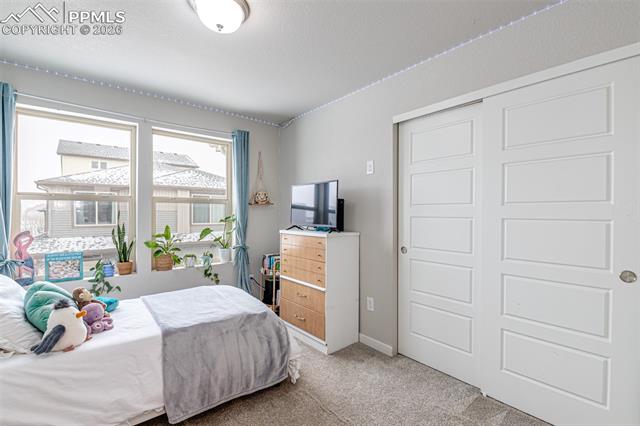 MLS Image for 6673  Shadow Star  ,Colorado Springs, Colorado