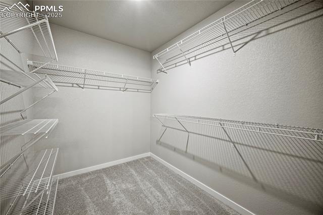 MLS Image for 9247  Golden Buffs  ,Colorado Springs, Colorado