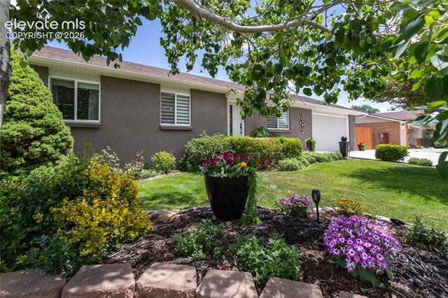 MLS Image for 510  Catalina  ,Colorado Springs, Colorado