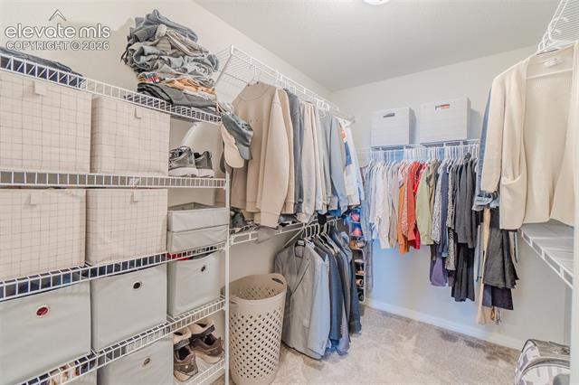 MLS Image for 4121  Tree Creek  ,Colorado Springs, Colorado