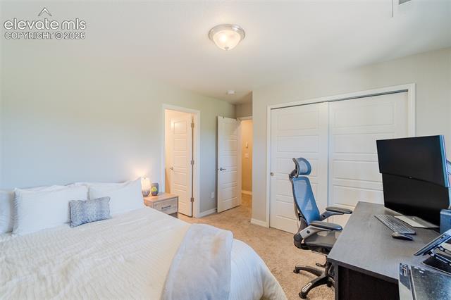 MLS Image for 4121  Tree Creek  ,Colorado Springs, Colorado