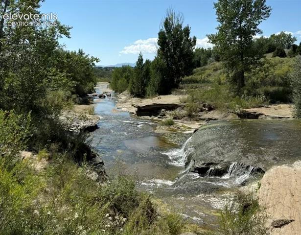 MLS Image for 4121  Tree Creek  ,Colorado Springs, Colorado