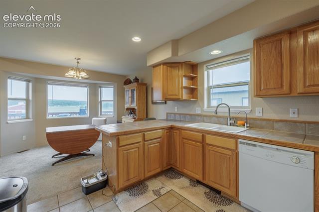 MLS Image for 471  Due South  ,Florissant, Colorado