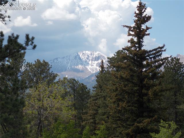 MLS Image for 211 E Pikes Peak  ,Woodland Park, Colorado