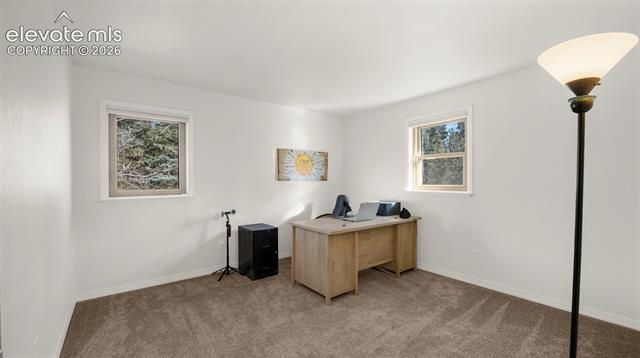 MLS Image for 721  Sunnywood  ,Woodland Park, Colorado