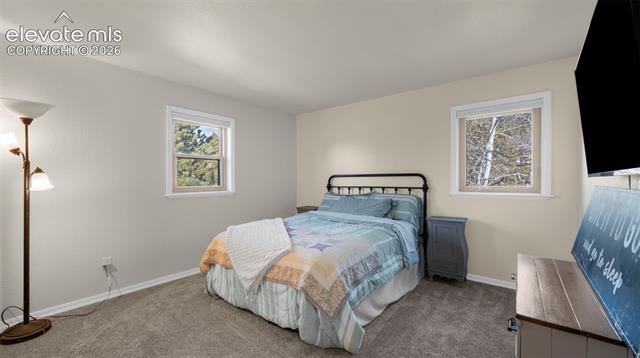 MLS Image for 721  Sunnywood  ,Woodland Park, Colorado