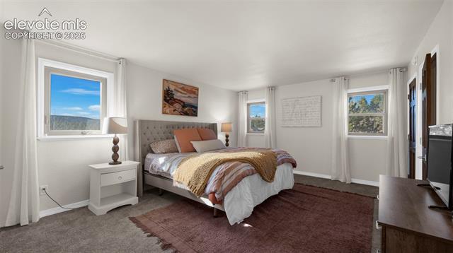 MLS Image for 721  Sunnywood  ,Woodland Park, Colorado