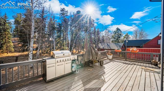 MLS Image for 721  Sunnywood  ,Woodland Park, Colorado