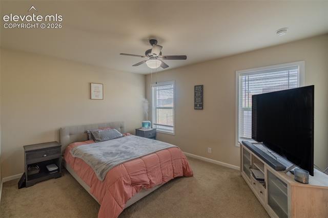 MLS Image for 4210  Gray Fox  ,Colorado Springs, Colorado