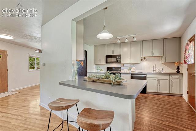 MLS Image for 2103  Paseo  ,Colorado Springs, Colorado