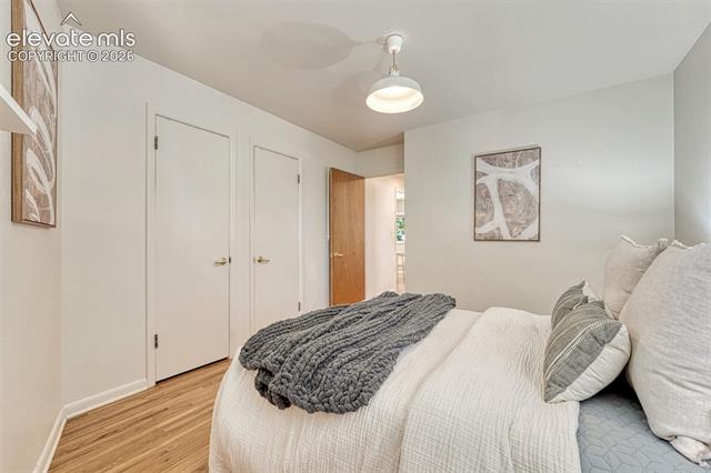 MLS Image for 2103  Paseo  ,Colorado Springs, Colorado