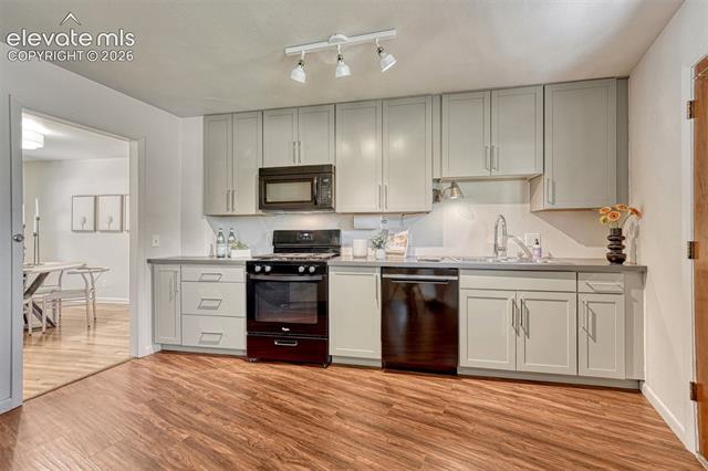 MLS Image for 2103  Paseo  ,Colorado Springs, Colorado