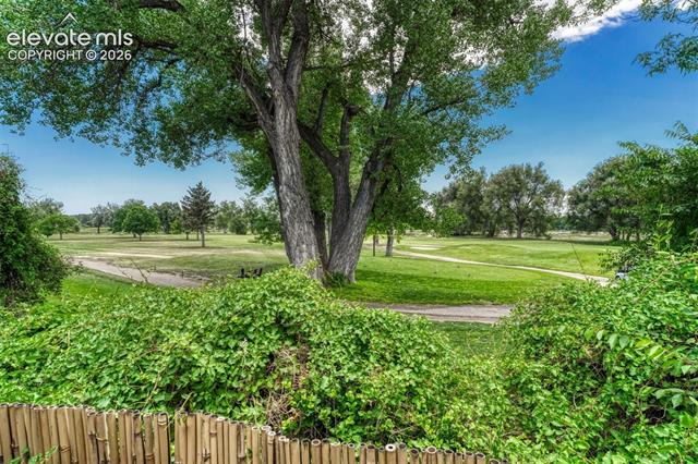 MLS Image for 2103  Paseo  ,Colorado Springs, Colorado