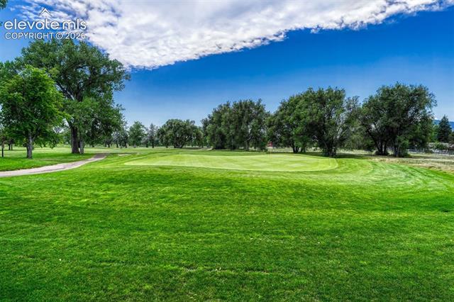 MLS Image for 2103  Paseo  ,Colorado Springs, Colorado