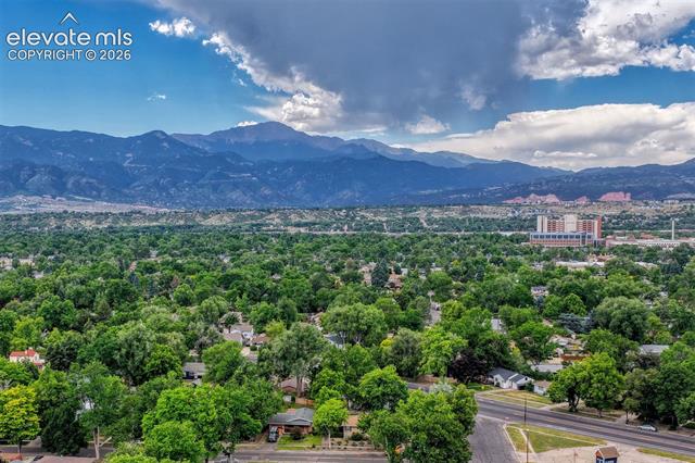 MLS Image for 2103  Paseo  ,Colorado Springs, Colorado