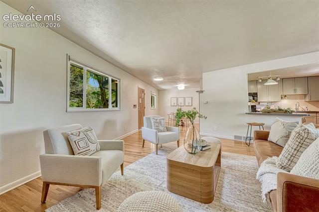 MLS Image for 2103  Paseo  ,Colorado Springs, Colorado