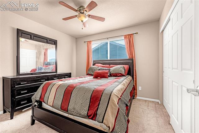 MLS Image for 7807  Irish  ,Colorado Springs, Colorado